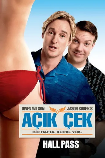 Açık Çek afişi