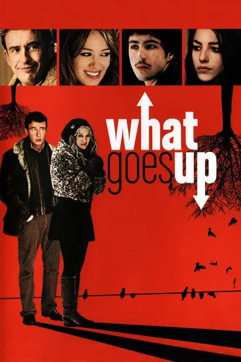 What Goes Up afişi