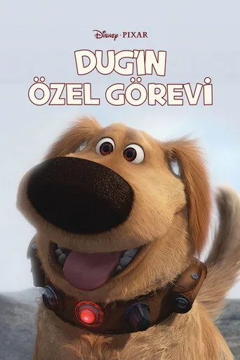 Dug'ın Özel Görevi afişi