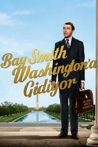 Bay Smith Washington'a Gidiyor afişi