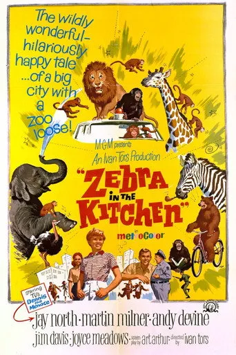 Zebra Mutfakta afişi