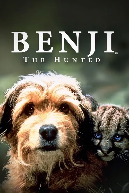 Av Köpeği Benji afişi